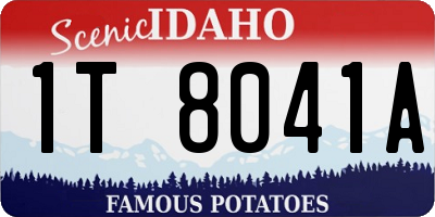 ID license plate 1T8041A