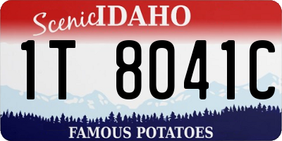 ID license plate 1T8041C