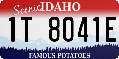 ID license plate 1T8041E