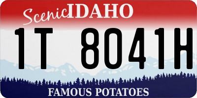 ID license plate 1T8041H