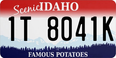 ID license plate 1T8041K