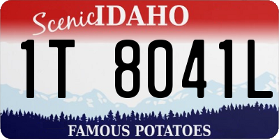 ID license plate 1T8041L