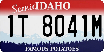 ID license plate 1T8041M