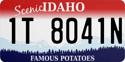 ID license plate 1T8041N