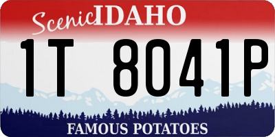 ID license plate 1T8041P