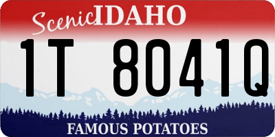 ID license plate 1T8041Q