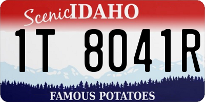 ID license plate 1T8041R