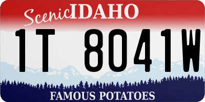 ID license plate 1T8041W