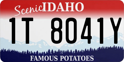 ID license plate 1T8041Y