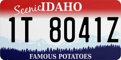 ID license plate 1T8041Z