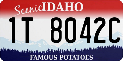 ID license plate 1T8042C