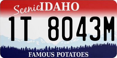 ID license plate 1T8043M