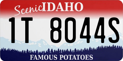 ID license plate 1T8044S