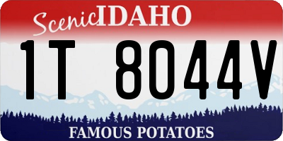 ID license plate 1T8044V