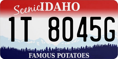 ID license plate 1T8045G
