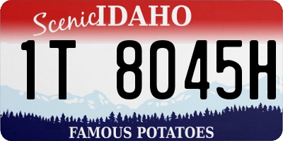 ID license plate 1T8045H