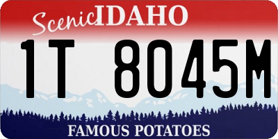 ID license plate 1T8045M