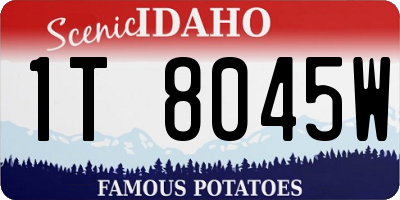 ID license plate 1T8045W