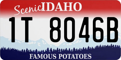 ID license plate 1T8046B