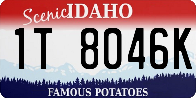 ID license plate 1T8046K