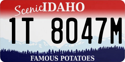 ID license plate 1T8047M