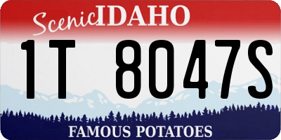 ID license plate 1T8047S