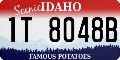 ID license plate 1T8048B