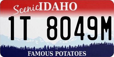 ID license plate 1T8049M