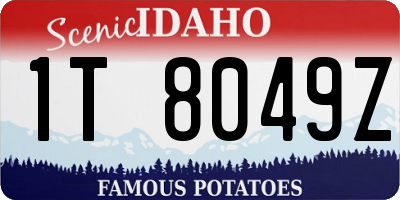 ID license plate 1T8049Z