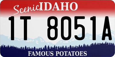 ID license plate 1T8051A