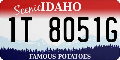 ID license plate 1T8051G