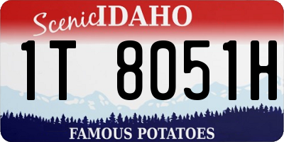 ID license plate 1T8051H