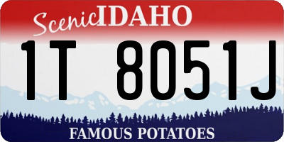 ID license plate 1T8051J