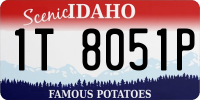 ID license plate 1T8051P