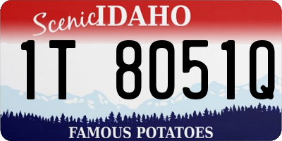 ID license plate 1T8051Q