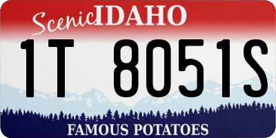 ID license plate 1T8051S