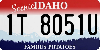 ID license plate 1T8051U
