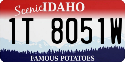 ID license plate 1T8051W