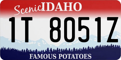 ID license plate 1T8051Z