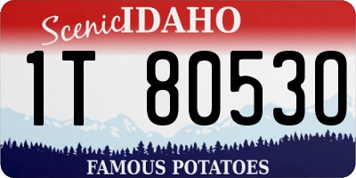 ID license plate 1T8053O
