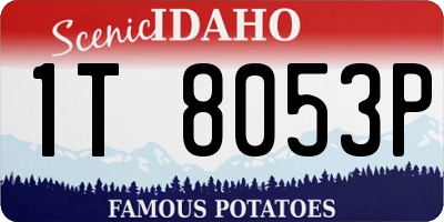ID license plate 1T8053P