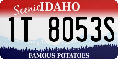 ID license plate 1T8053S