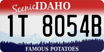 ID license plate 1T8054B