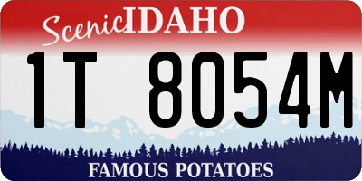 ID license plate 1T8054M