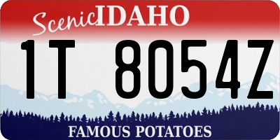 ID license plate 1T8054Z