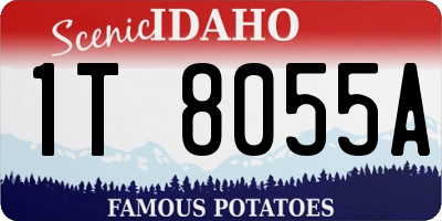 ID license plate 1T8055A