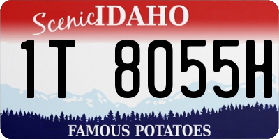 ID license plate 1T8055H