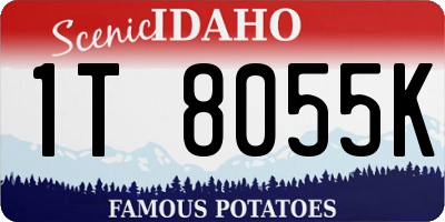 ID license plate 1T8055K