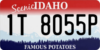 ID license plate 1T8055P