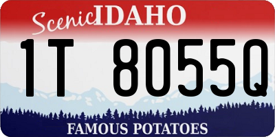 ID license plate 1T8055Q